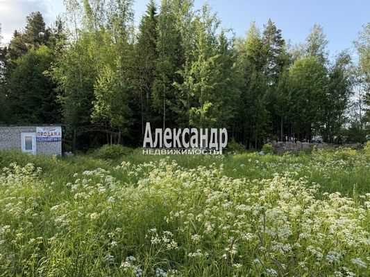 Продам участок 11,19 соток, ИЖС, Бор п, 133 км от города