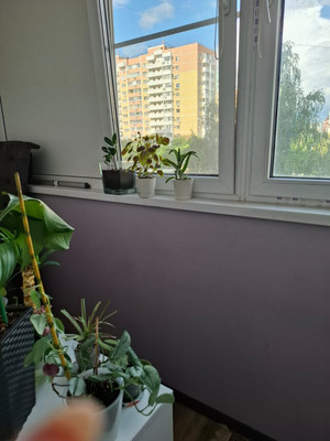 Продам двухкомнатную (2-комн.) квартиру, 3-я Целиноградская ул, 9, Краснодар г