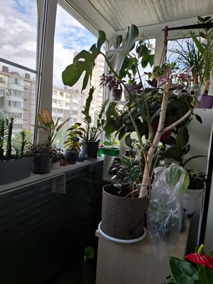 Продам двухкомнатную (2-комн.) квартиру, 3-я Целиноградская ул, 9, Краснодар г