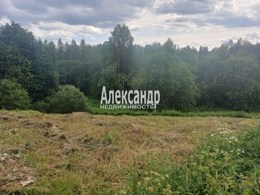 Продам участок 30 соток, ИЖС, Березовая ул, Пятиречье п, 80 км от города