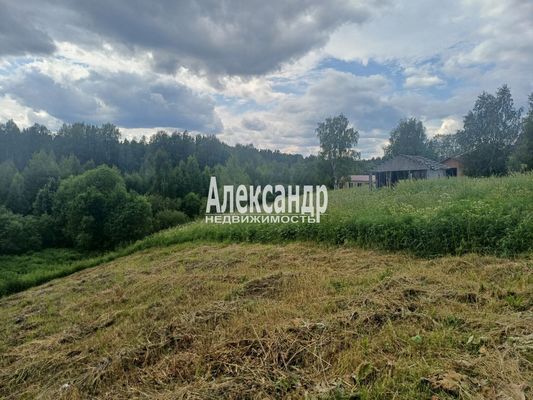 Продам участок 30 соток, ИЖС, Березовая ул, Пятиречье п, 80 км от города