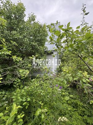 Продам дачу в поселке СНТ Зенит, 1-я линия, 2, Зенит тер. СНТ, 20 км от города