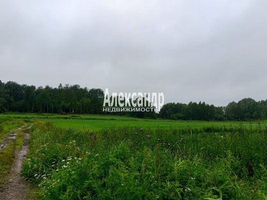 Продам участок 500 соток, Фермерское хоз., Мыс п, 110 км от города