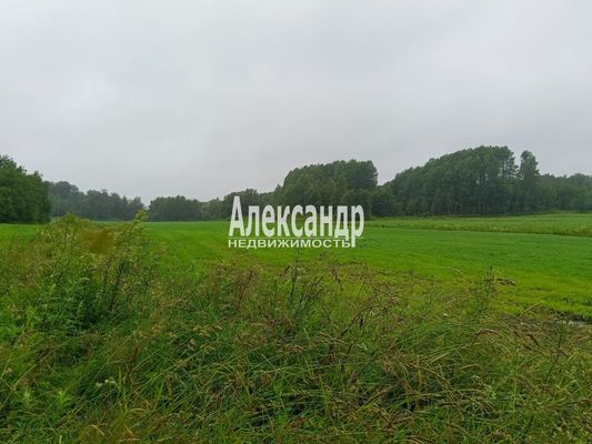 Продам участок 500 соток, Фермерское хоз., Мыс п, 110 км от города