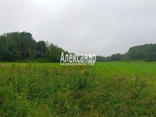 Продам участок 500 соток, Фермерское хоз., Мыс п, 110 км от города