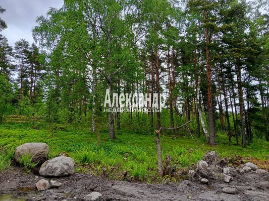 Продам участок 10 соток, Садоводство, Финская ул, Светлое д, 110 км от города