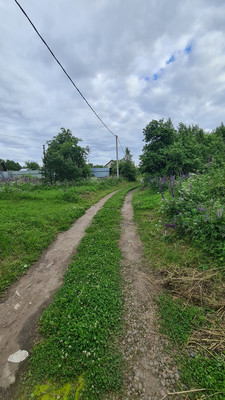 Продам участок 12 соток, ИЖС, Сосновая ул, 18, Бор тер. СНТ, 0 км от города