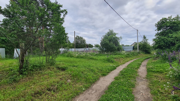 Продам участок 12 соток, ИЖС, Сосновая ул, 18, Бор тер. СНТ, 0 км от города