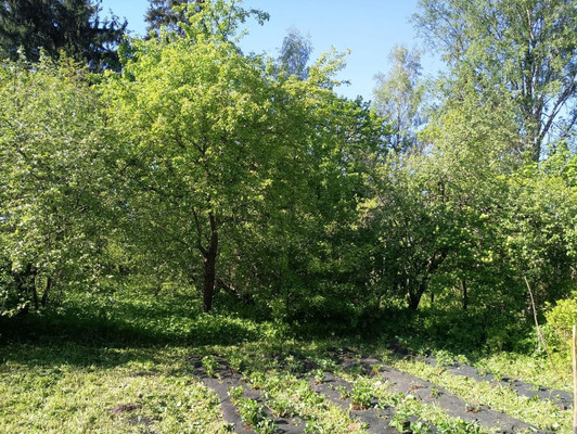 Продам дом, Красная ул, 13, Карташевская п, 0 км от города