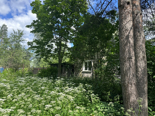 Продам дом, Белоостров-38 тер. СНТ, 38 км Выборгского шоссе массив, 0 км от города