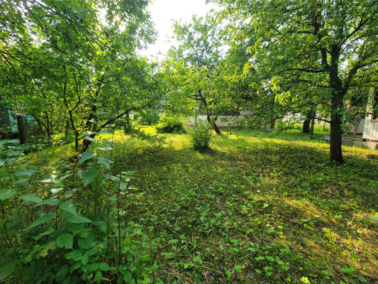 Продам дачу, Лесной пер, 6, Верея г, 0 км от города