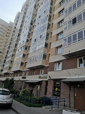 Сдам однокомнатную (1-комн.) квартиру, Туристская ул, 20к2, Санкт-Петербург г