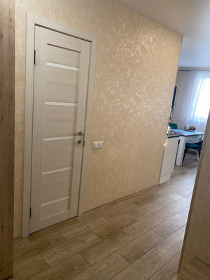 Продам однокомнатную (1-комн.) квартиру, Северный (Купелинка мкр) кв-л, 24, Сапроново д