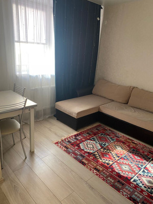 Продам однокомнатную (1-комн.) квартиру, Северный (Купелинка мкр) кв-л, 24, Сапроново д