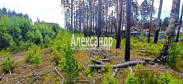 Продам участок 8 соток, ИЖС, Высокая ул, Пески п, 80 км от города