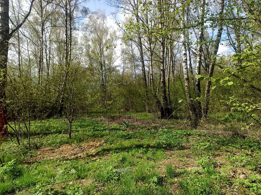 Продам участок 20 соток, ИЖС, им. А.П.Чехова тер. СНТ, Чепелево д, 0 км от города