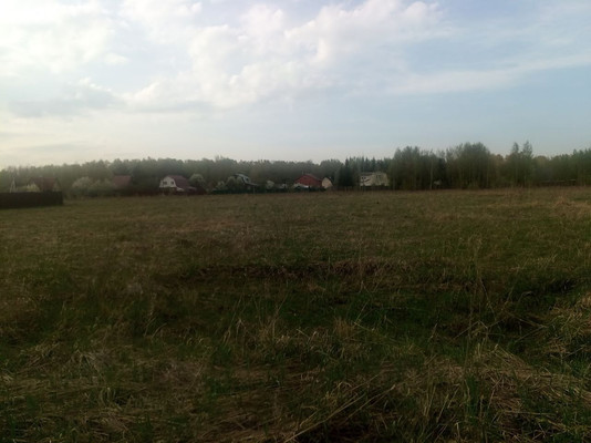 Продам участок 25 соток, ИЖС, Беляево д, 0 км от города