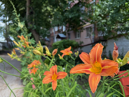 Продам двухкомнатную (2-комн.) квартиру, Нартова ул, 21, Нижний Новгород г