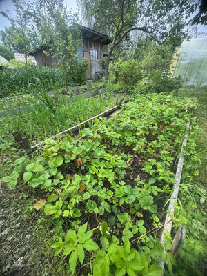 Продам дом, Бассейная (Движенец тер. СНТ) линия, 56, Михайловский массив, 0 км от города