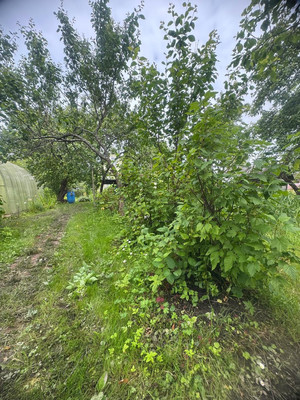 Продам дом, Бассейная (Движенец тер. СНТ) линия, 56, Михайловский массив, 0 км от города