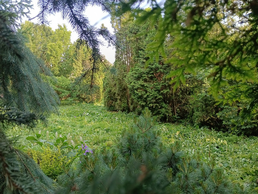 Продам участок 12 соток, Фермерское хоз., ДНП Дачное-1 тер, Зюзино с, 0 км от города
