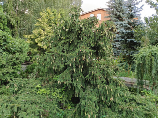 Продам участок 12 соток, Фермерское хоз., ДНП Дачное-1 тер, Зюзино с, 0 км от города