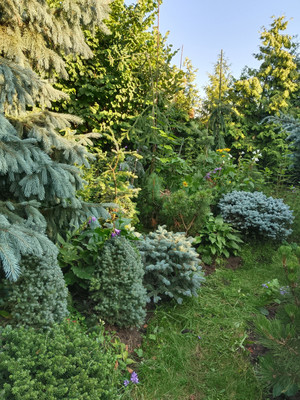 Продам участок 12 соток, Фермерское хоз., ДНП Дачное-1 тер, Зюзино с, 0 км от города