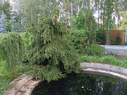 Продам участок 12 соток, Фермерское хоз., ДНП Дачное-1 тер, Зюзино с, 0 км от города