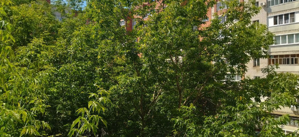 Продам трехкомнатную (3-комн.) квартиру, 1-я Полевая ул, 34, Иваново г