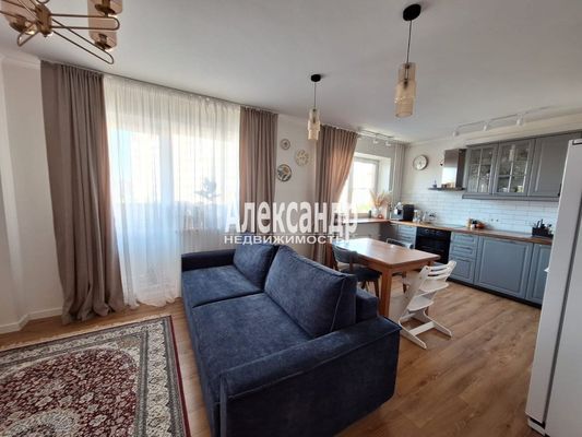 Продам трехкомнатную (3-комн.) квартиру, Тихоокеанская ул, 10к1, Парголово п