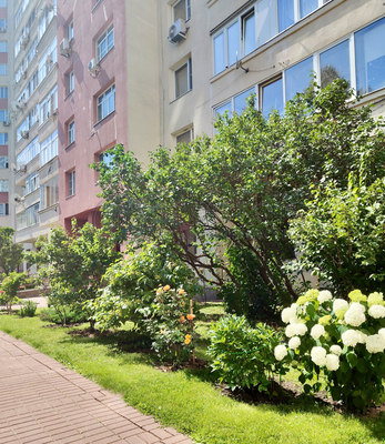 Продам многокомнатную квартиру, Мичуринский пр-кт, 29, Москва г