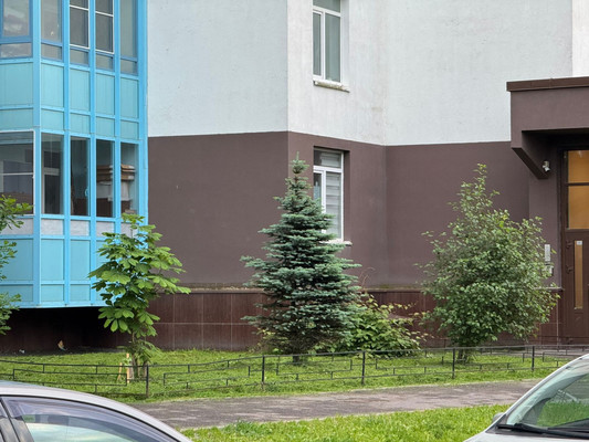 Сдам однокомнатную (1-комн.) квартиру, Арцеуловская аллея, 23к1, Санкт-Петербург г
