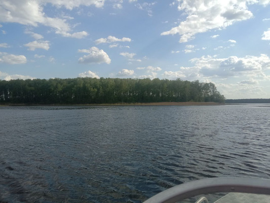 Продам коммерческое помещение 1 000 м2, База отдыха Чайка тер, Бебехово д