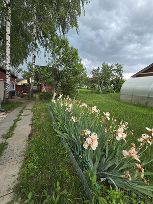 Продам дом, 7, Введенское с, 0 км от города
