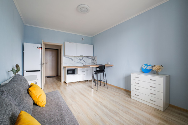 Продам однокомнатную (1-комн.) квартиру, Плесецкая ул, 10, Санкт-Петербург г