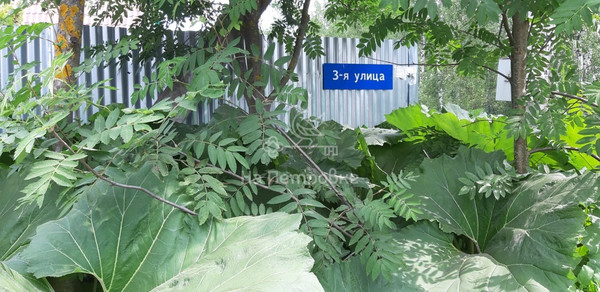 Продам участок 6 соток, Фермерское хоз., Чапаевка ул, 205, Кубинка г, 0 км от города