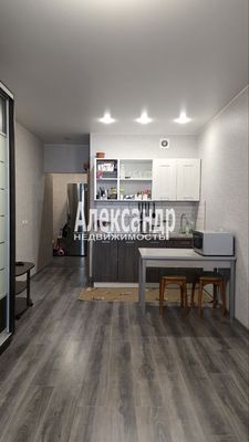 Продам однокомнатную (1-комн.) квартиру, Маршала Казакова ул, 72к1с1, Санкт-Петербург г