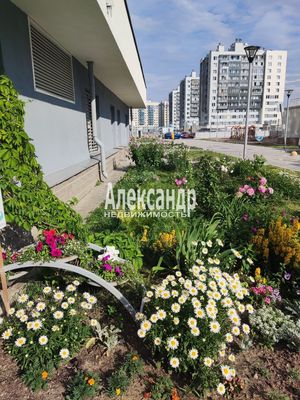 Продам однокомнатную (1-комн.) квартиру, Маршала Казакова ул, 72к1с1, Санкт-Петербург г