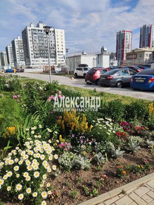 Продам однокомнатную (1-комн.) квартиру, Маршала Казакова ул, 72к1с1, Санкт-Петербург г