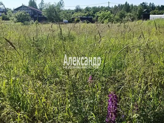 Продам участок 7 соток, СНТ, поселок Сиверский массив, Сиверский тер. СНТ, Старосиверская массив, 90 км от города