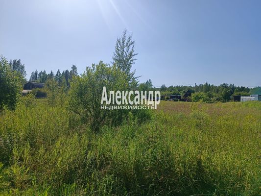 Продам участок 7 соток, СНТ, поселок Сиверский массив, Сиверский тер. СНТ, Старосиверская массив, 90 км от города