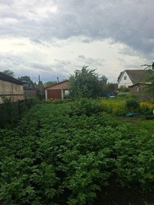Продам участок 5,5 соток, ИЖС, Песчаная ул, 5, Ишим г, 0 км от города
