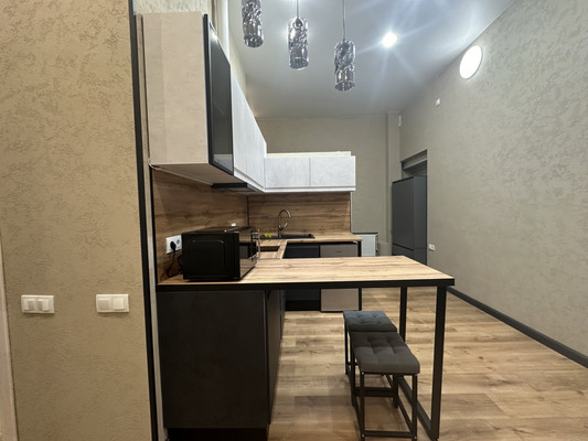 Сдам однокомнатную (1-комн.) квартиру, Боровая ул, 34/24, Санкт-Петербург г