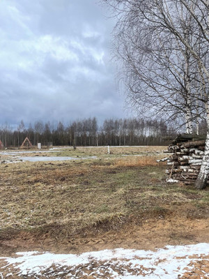 Продам землю для коммерческого использования 1 260 соток, Фермерское хоз., Крупенино д