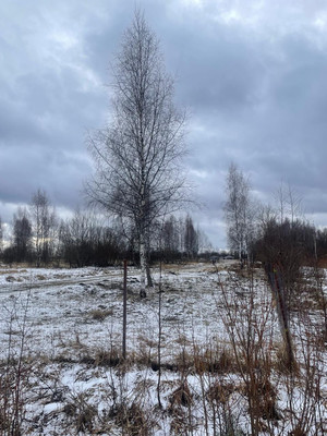 Продам землю для коммерческого использования 1 260 соток, Фермерское хоз., Крупенино д