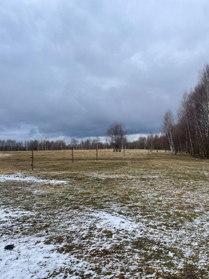 Продам землю для коммерческого использования 1 260 соток, Фермерское хоз., Крупенино д