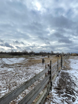 Продам землю для коммерческого использования 1 260 соток, Фермерское хоз., Крупенино д