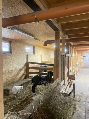 Продам землю для коммерческого использования 1 260 соток, Фермерское хоз., Крупенино д