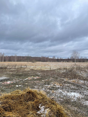 Продам землю для коммерческого использования 1 260 соток, Фермерское хоз., Крупенино д