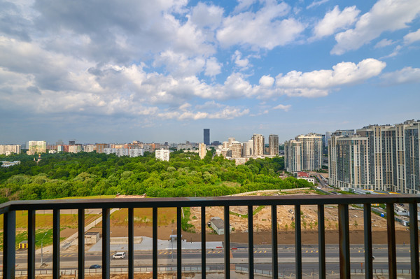 Продам двухкомнатную (2-комн.) квартиру, Берёзовая аллея, 19к6, Москва г